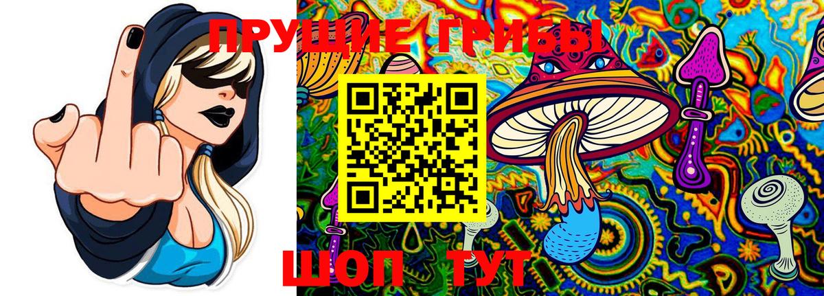 Псилоцибиновые грибы GOLDEN TEACHER  Вход с VPN  Павловский Посад 